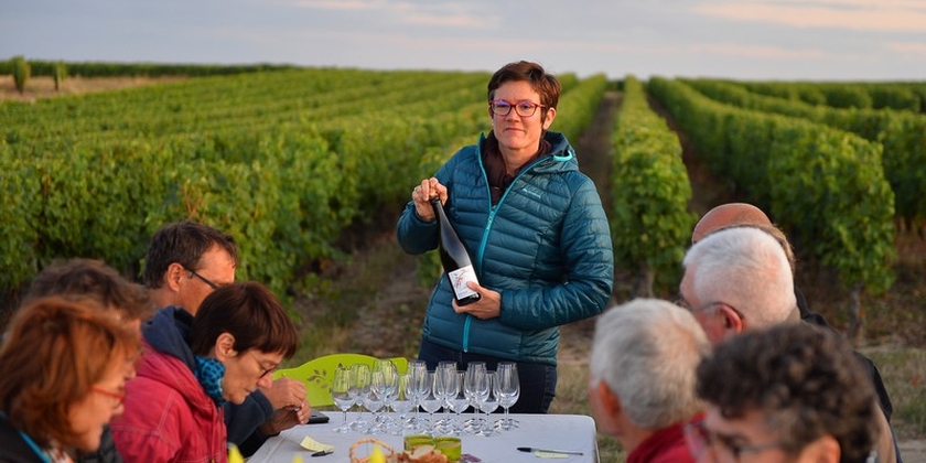 77d9a094d0de4f1ea703c7028dafb146