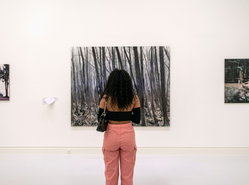 ff62c2d552194757a8023a84cdb86bc0