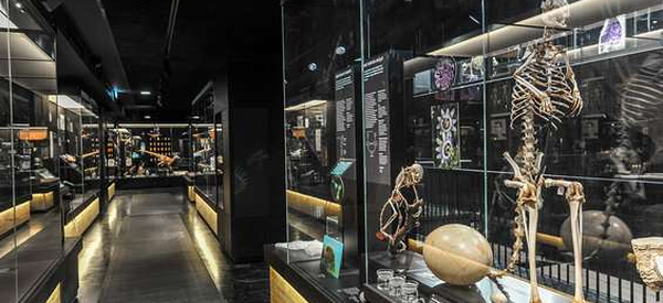 MOBE - Muséum d’Orléans pour la Biodiversité et l’Environnement