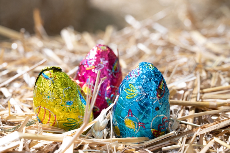 95d6257d63484f229ef6ad48985d36bc