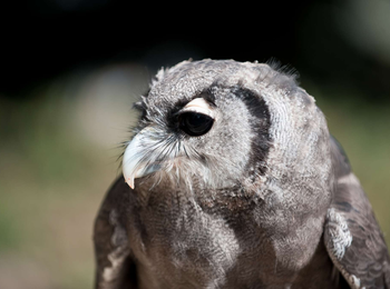 4e7225a034eb40b5870dcd8845fad46e