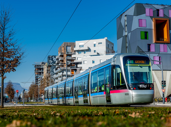 623a256398c5470a9fa5df88f4b9932b