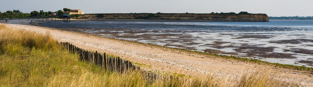 background-larochelle