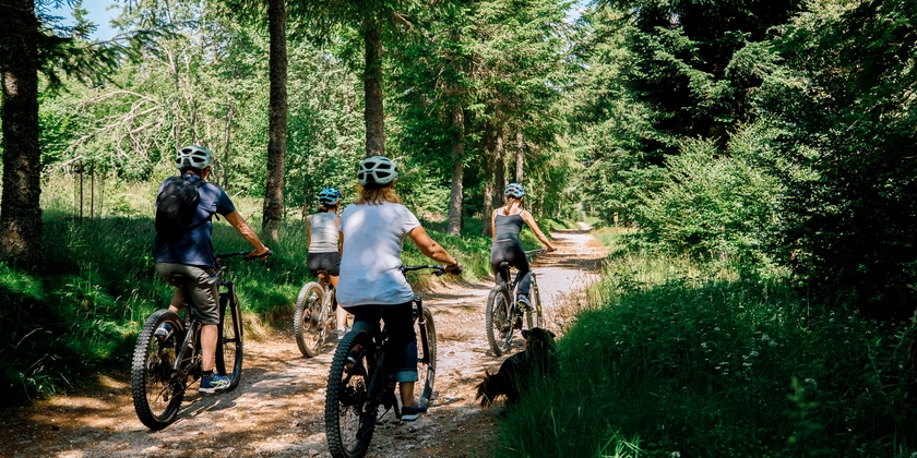 063d4de829d040eaa4b5af08d8c3891e