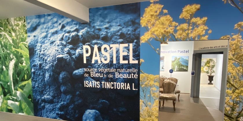 Le Muséum du Pastel