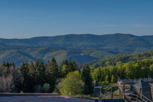 Exposition : Avant l’horreur, un autre Struthof