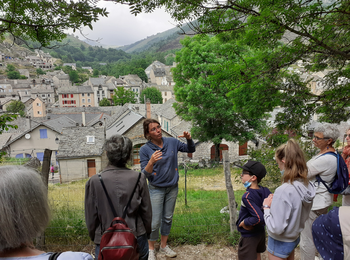 cf6c0f27744f4e61aa8249b9f2988594