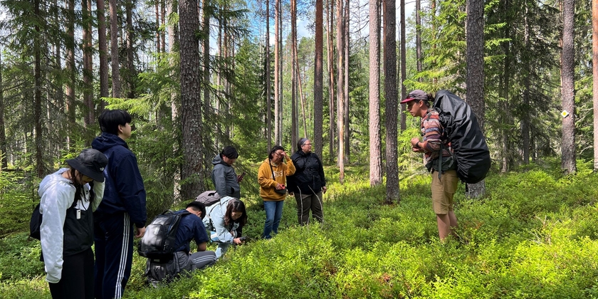 Magical Taiga Forest Hike