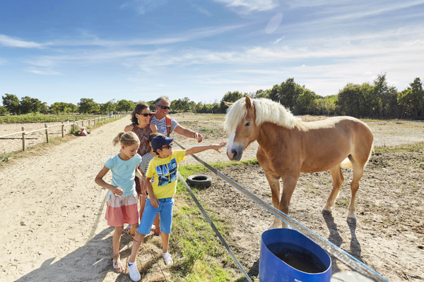 Stage poney ou équitation à tarif réduit