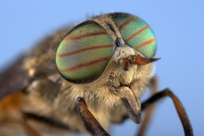 f7e22b3c662d45aba5830cfc5aa70166