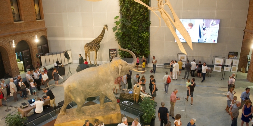 Muséum de Toulouse