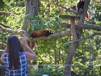 Zoo Amiens