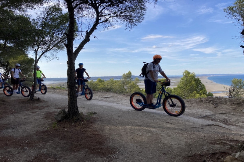 Trottup