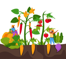 | Atelier jardinage : Bouturage sur bois aoûté |