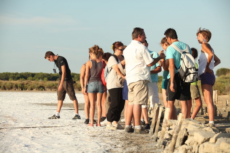 de922e452f3341d282e96ec95e7500f5