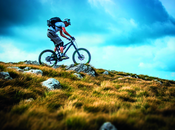 981ba13cdb95428d8e6e61dbf5fb24e1