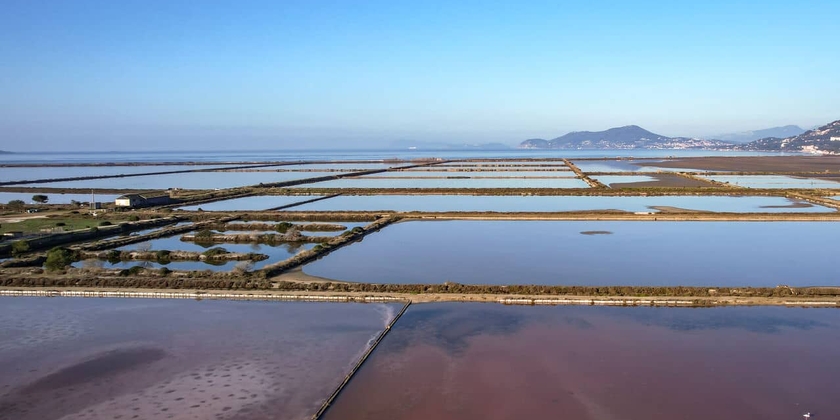 f0edb794b4f94cb984d57766f9c94779