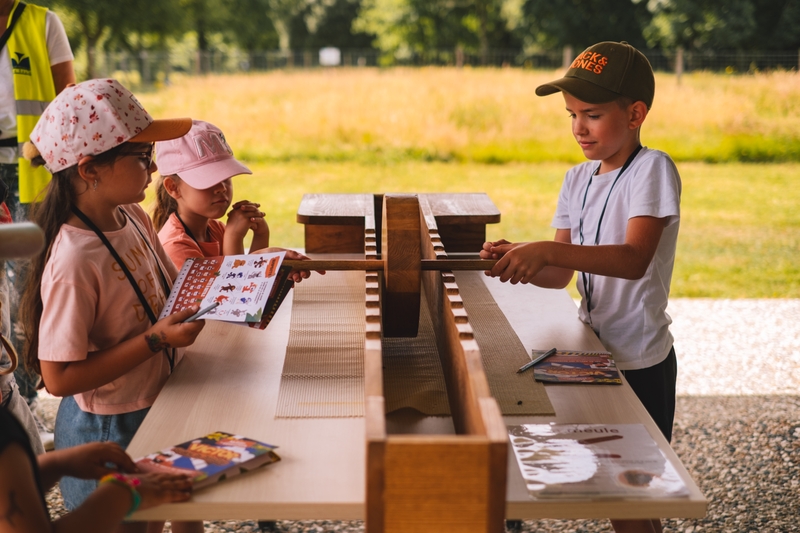 d1ece29f475040d29a4dad41c86ae974