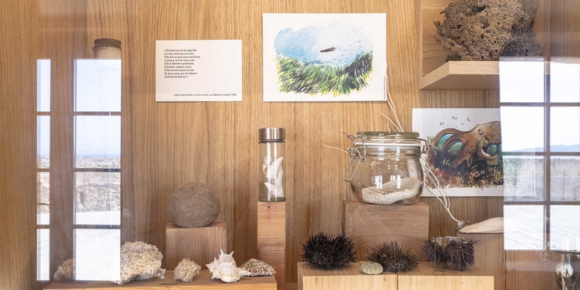 ef5c0d9aa6524089af69d25d084a9c3c