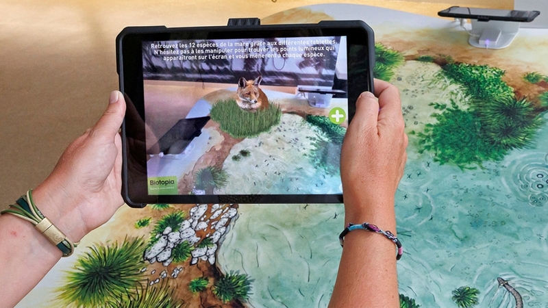 930cbc45635c4862a1dd6f885634c450