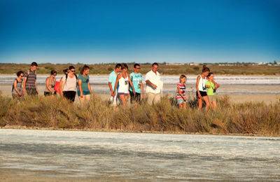 90866e7e4cfa416b8022075770d5b703