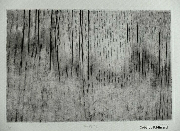 fa80afc766834e7c8726379bd116476d