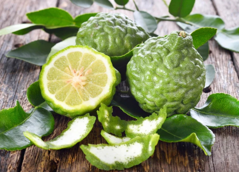 f4fdda524f064d58862b6d360e3688d6