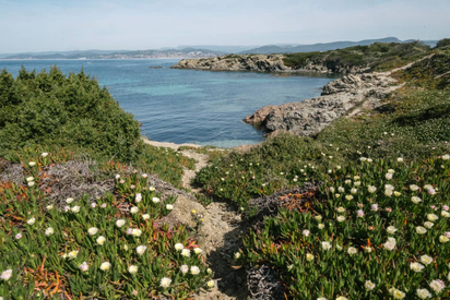 bb6962afc2ba4d5e93db4fc32332c786