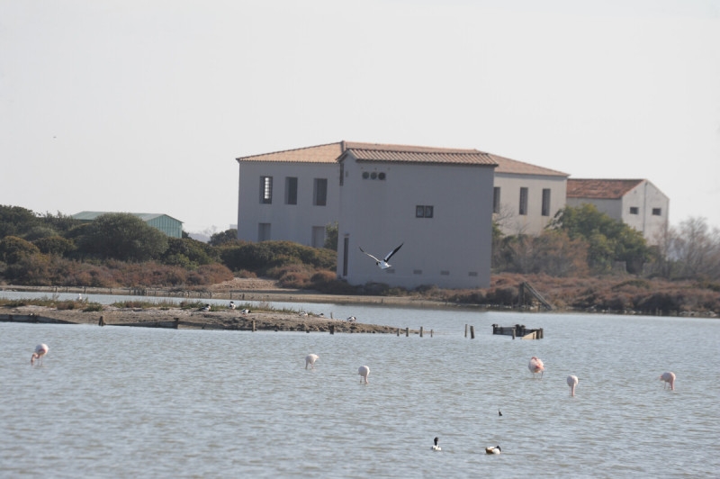 3215fa6ba1c444f1b4e150046cb33d45