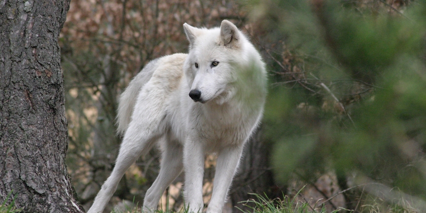 973e3b4e7c9147f283f8e26a2dc0d230