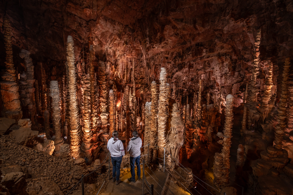 dfb9efb7b9754cc8a77d8d0c265cecaf