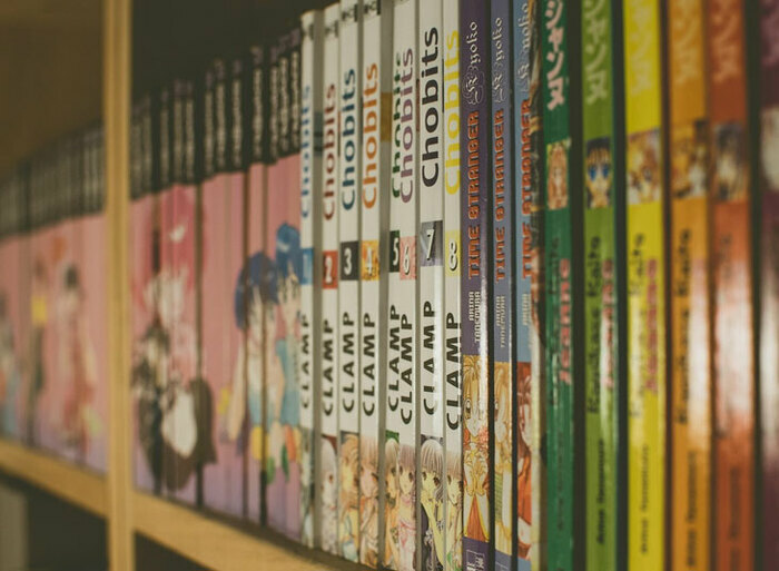 fc10604323a249e69065c67bb0c6c478