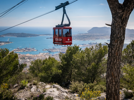 1e921c97076a4605b76873dfa705eb56