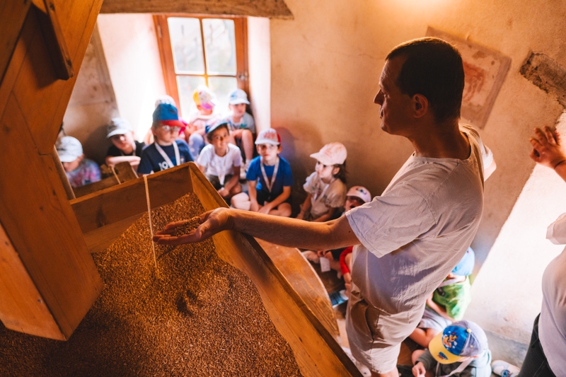 168ca6699d5846459c5a4bd81ad56db6