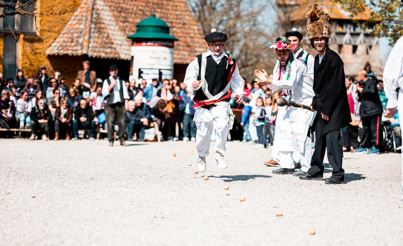 c5ad5f5eafe54928b714856f19381267