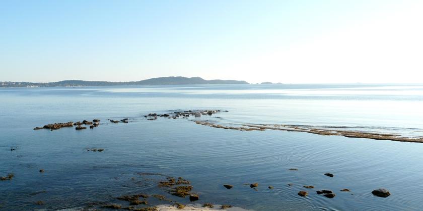 f352c8ff5fbe4d8cb2ee740df7b5f916