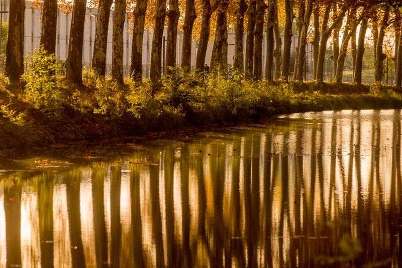 | Perspectives au fil de l'eau : le Canal du Midi |