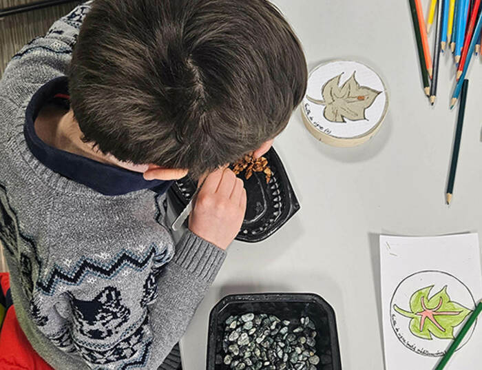 070ae08eeba7445d901cc5c676516254