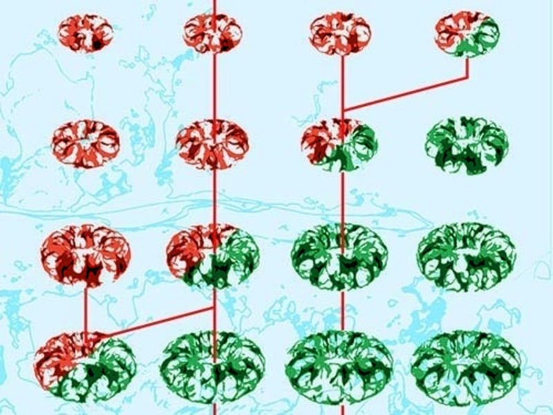 b417a704a10445528549346d274b82d7