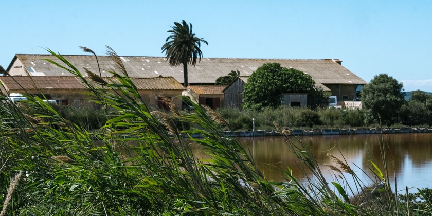 5a336cf4bbdf421d85a471cf6636510e