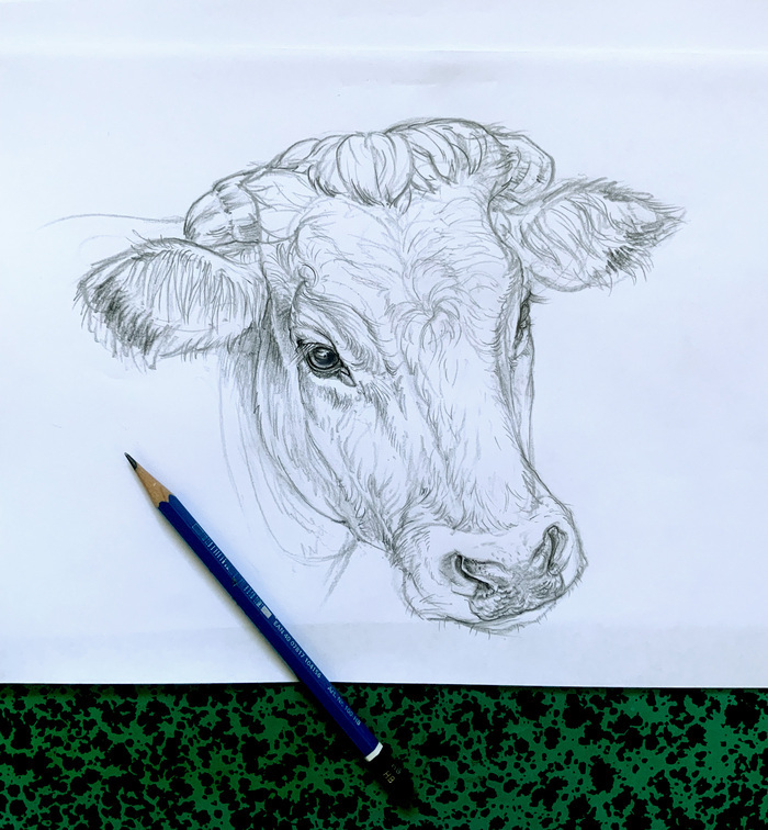 3e67716ff2bb49bab7b504bba5b5a8b1