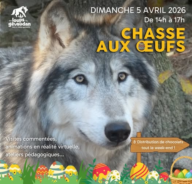 e02b36baacf1429bb69df92969a7dfb0