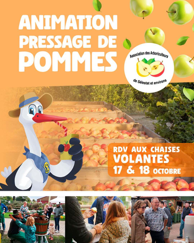 Animation pressage de pommes