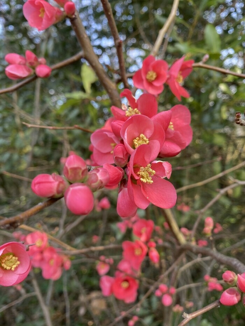 205e8351ee714f2d8f2aec0ec8f816c9