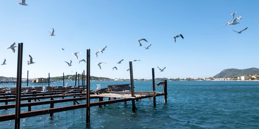 32dbbd7164454cdfbe3a44b41914da6d