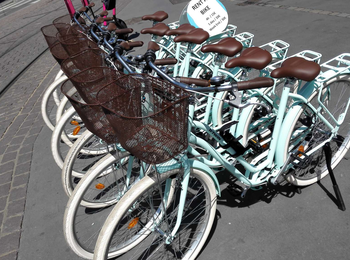 54091a88ed1240a1896513cb7d68dcd5