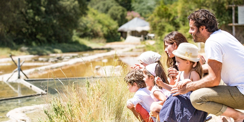 9ddf4b23afc0490d85b32692d9d68287