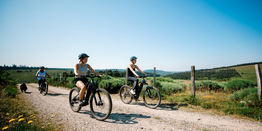 a699696aaf444b2f99e913d075823df3