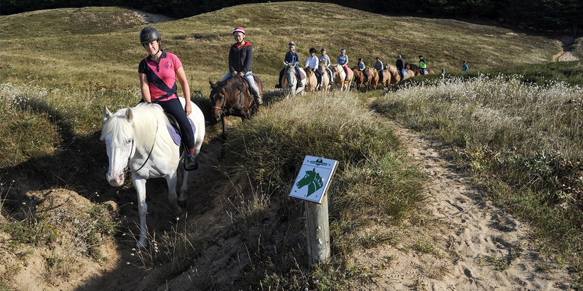 Reduced-rate horse or pony rides