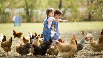 | Visite d’une ferme pédagogique |